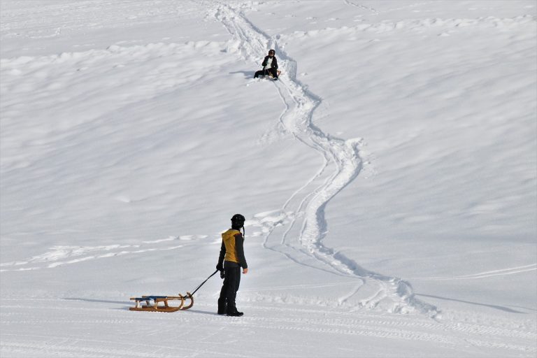 white, snow, sled