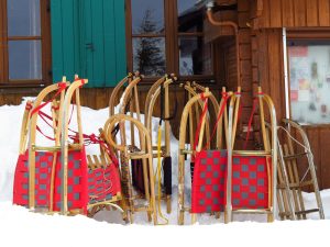 sleds, nature, hut